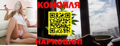 jwh Нальчик