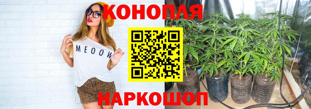 МАРИХУАНА White Widow  Конопля сатива  Марихуана Ganja  Вход с VPN  Сунжа 